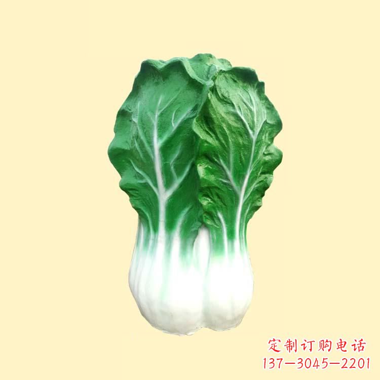 广西白菜智能投影仪——让你的生活更加精彩