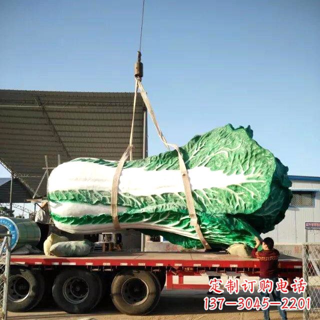 广西白菜之美——给你一份独特的食材