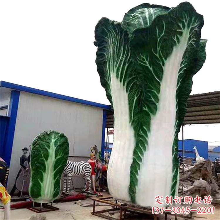 广西白菜艺术——融合植物与艺术的完美结合