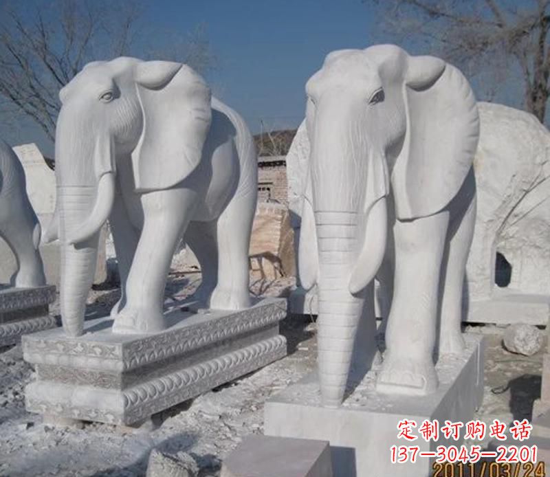 广西白色大象
