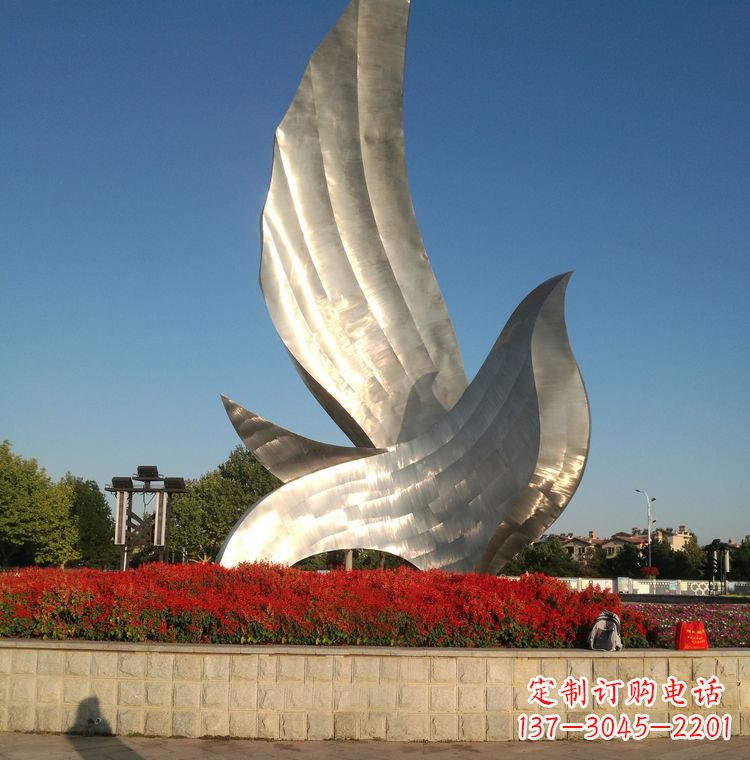 广西“鸽子之恋”——让爱飞翔