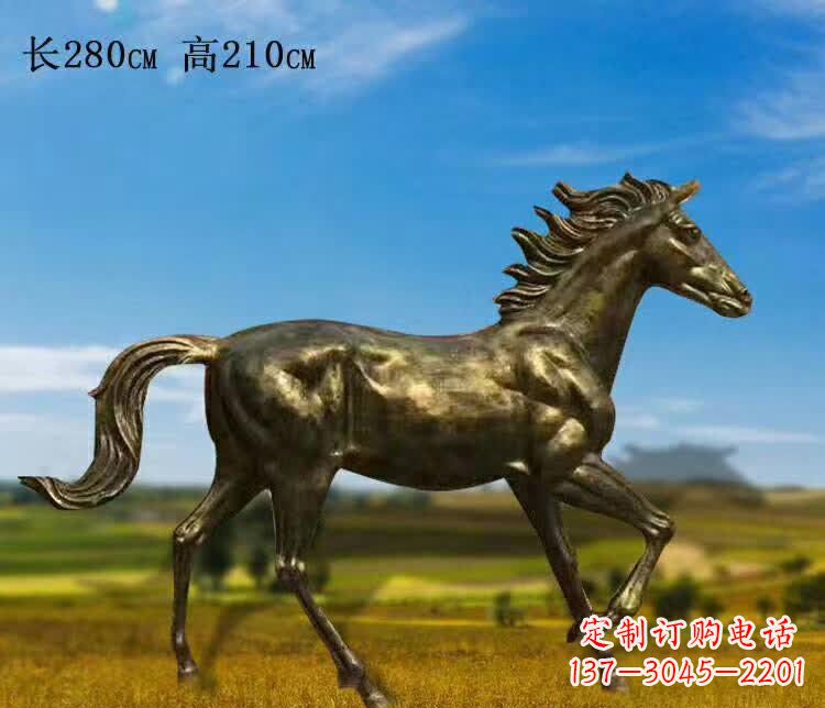 广西新马之精髓