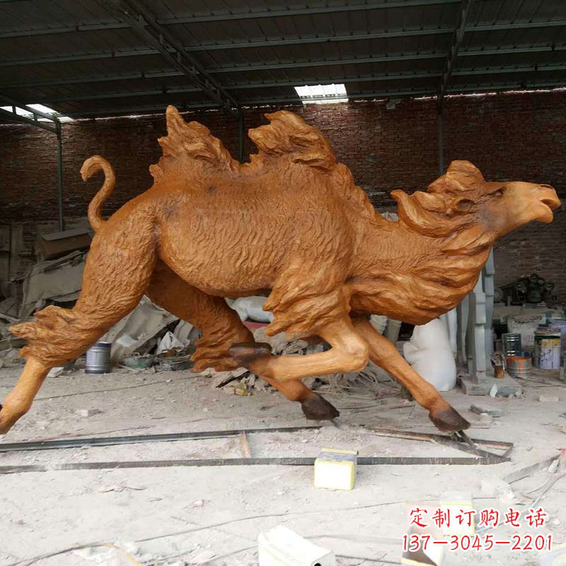 广西活力四射的骆驼
