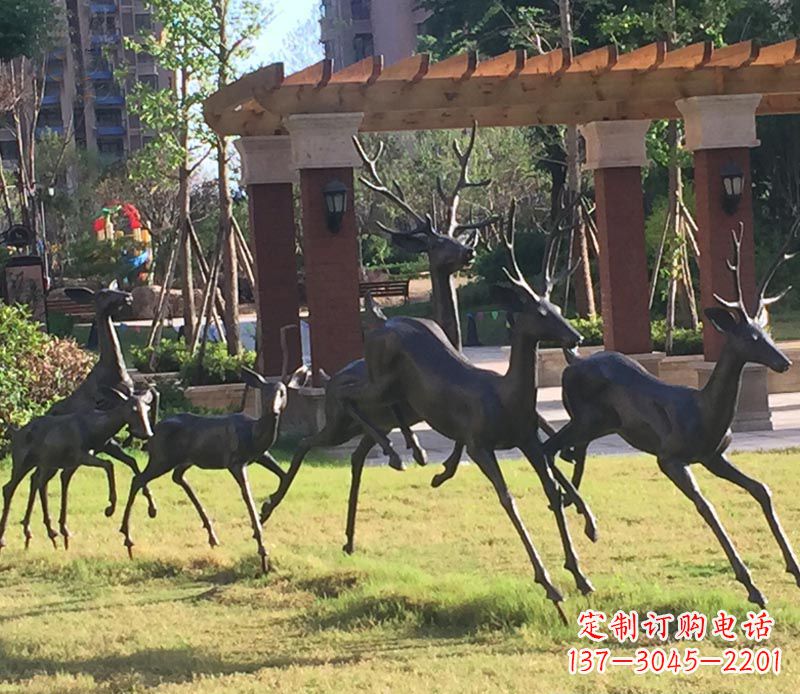 广西“梅花鹿传递自由与美好”