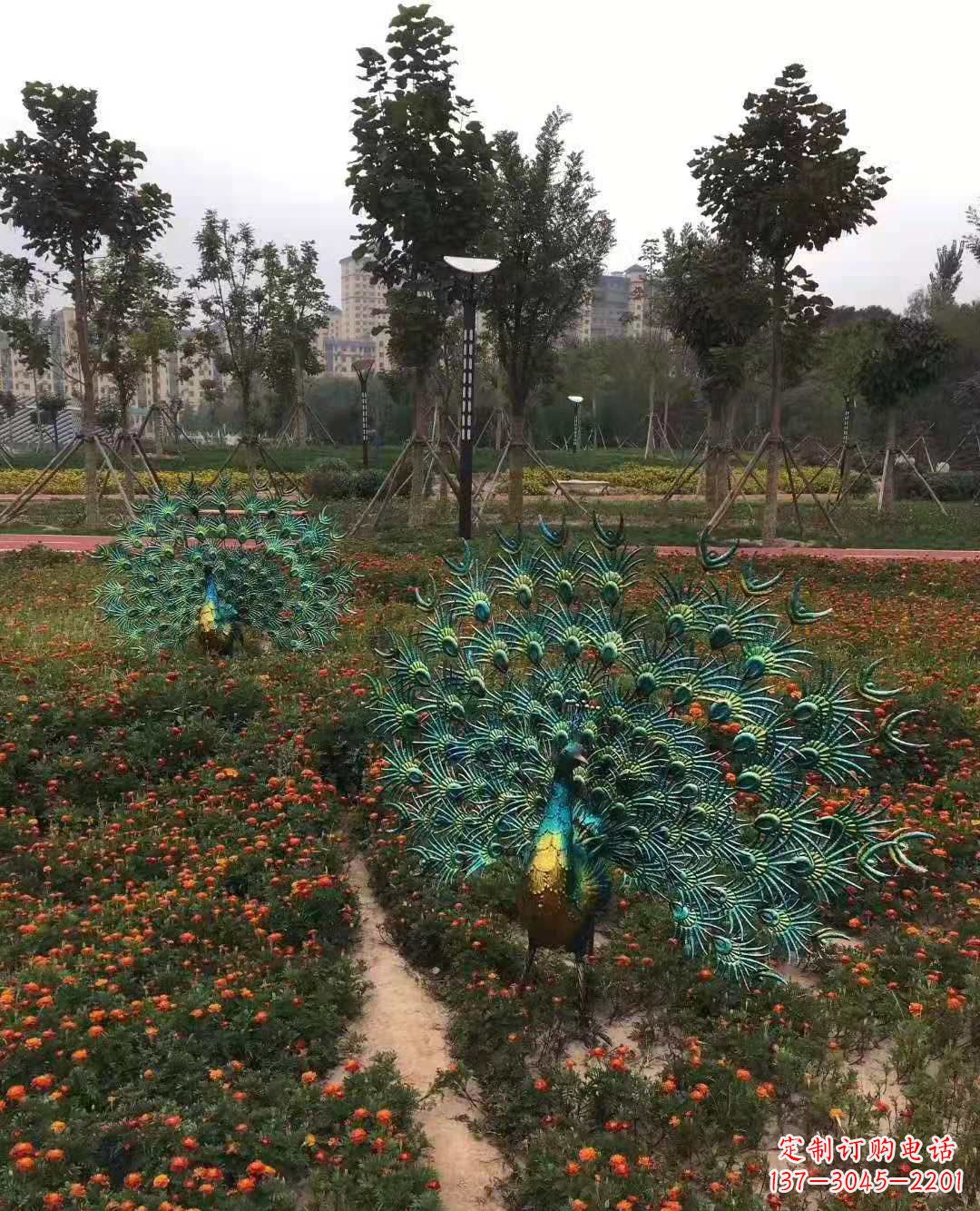 广西不锈钢彩绘孔雀雕塑