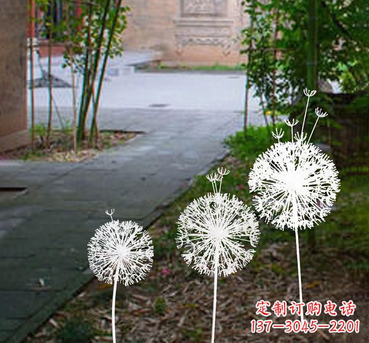 广西不锈钢蒲公英点亮城市之美