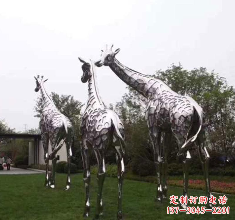 广西精美的不锈钢大型长颈鹿雕塑