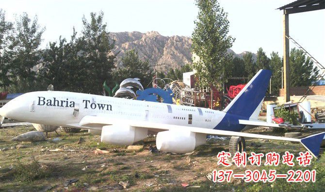 广西静静躺在大地上的不锈钢飞机雕塑