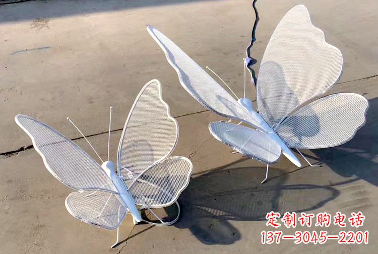 广西不锈钢钢丝网格蝴蝶雕塑——灯光下的灵动之美