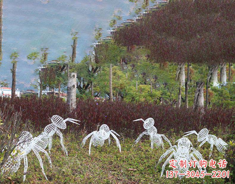 广西不锈钢蚂蚁镂空雕塑艺术与自然的完美结合