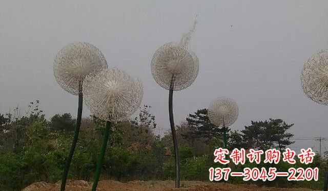 广西蒲公英的绚丽多彩