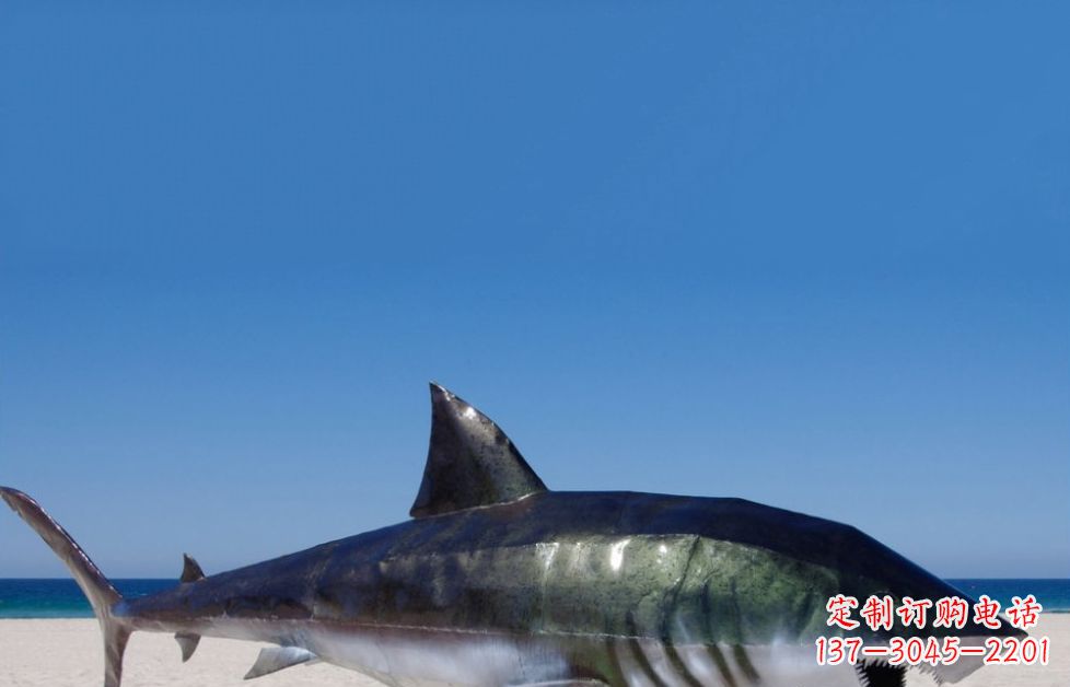 广西海洋生物之美——不锈钢鲨鱼雕塑