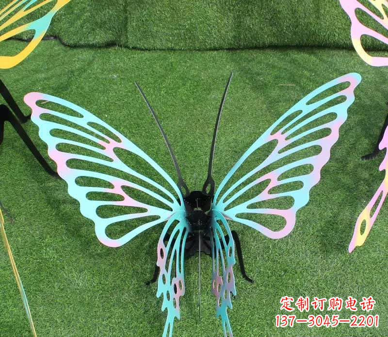 广西彩色不锈钢镂空蝴蝶雕塑精美又充满生机