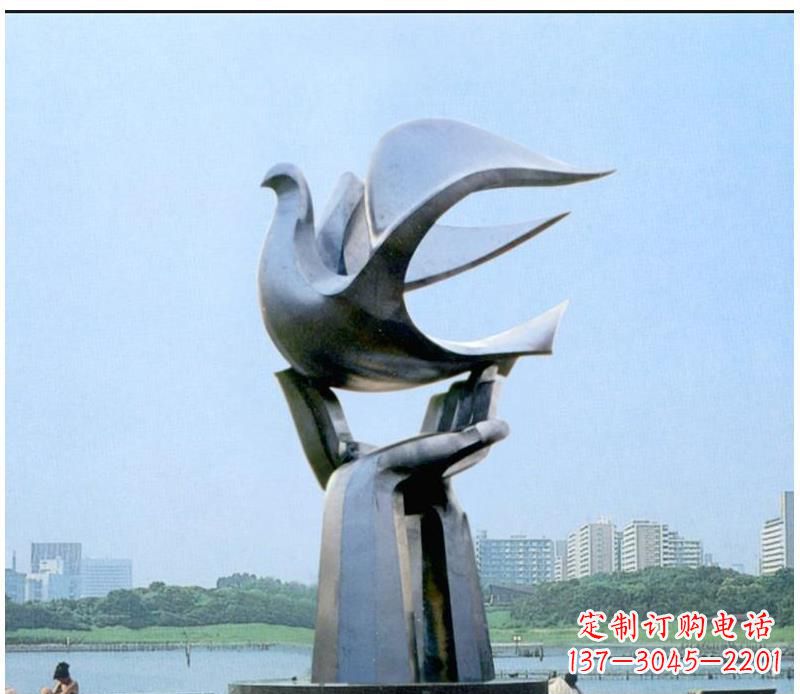 广西静谧之鸽,传递和平象征~