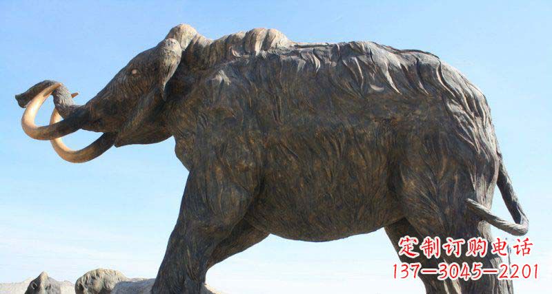 广西雕刻精美的大象铜雕
