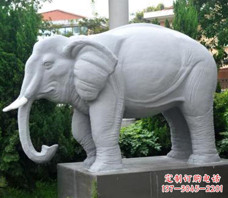 广西公园动物大理石大象石雕 (5)