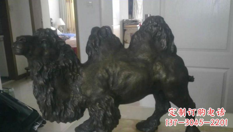 广西室外骆驼铜雕塑,为公园景观增添美感
