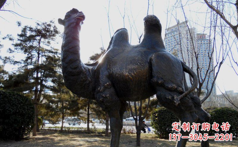 广西优美雕刻骆驼铜雕塑