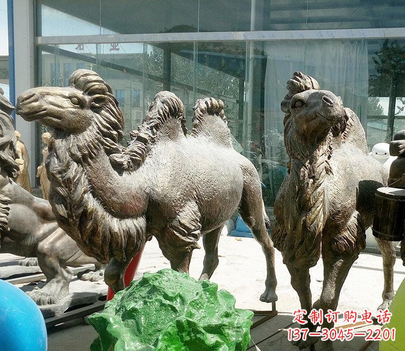 广西公园骆驼动物铜雕 (2)