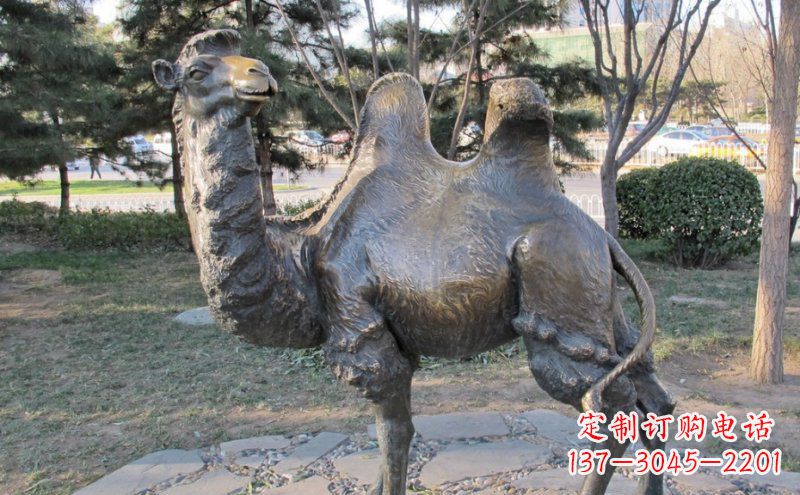 广西铜骆驼雕塑——浓缩自然美丽