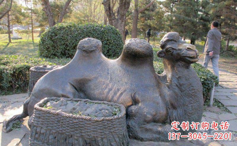 广西公园骆驼动物铜雕