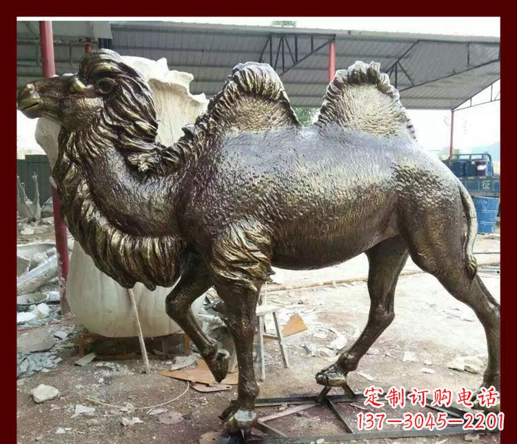 广西双峰骆驼铜雕塑,精美绝伦