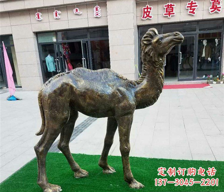广西公园小骆驼动物铜雕 (2)