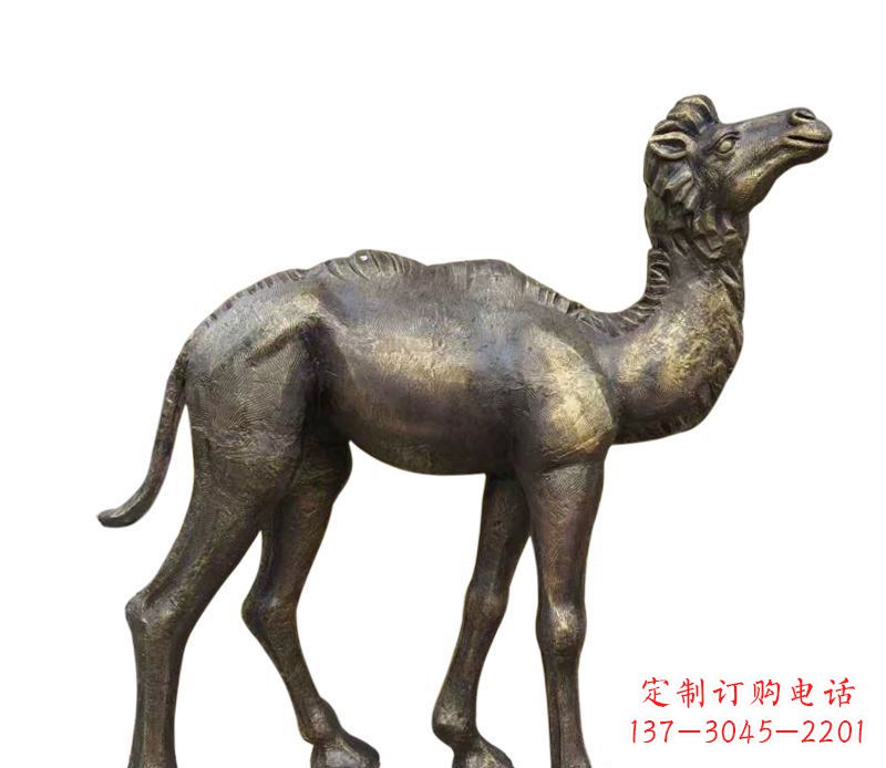 广西公园小骆驼铜雕