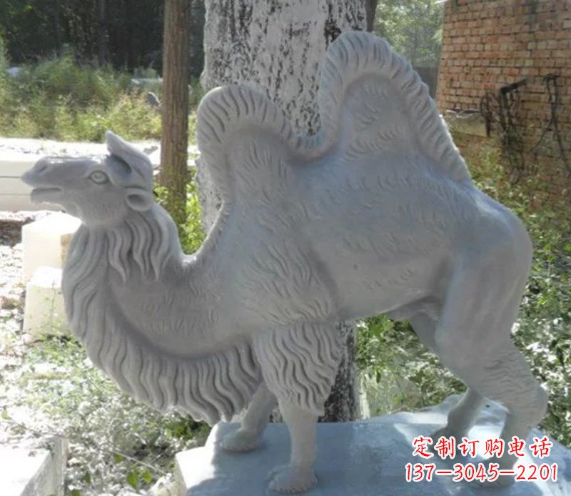 广西汉白玉骆驼雕,融入古朴奢华