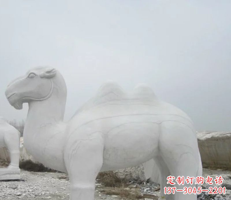 广西汉白玉骆驼石雕塑,装点家居空间