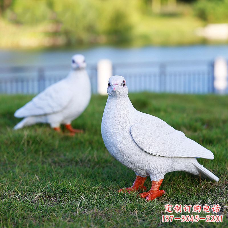 广西新型和平鸽雕塑,让爱与和平传递