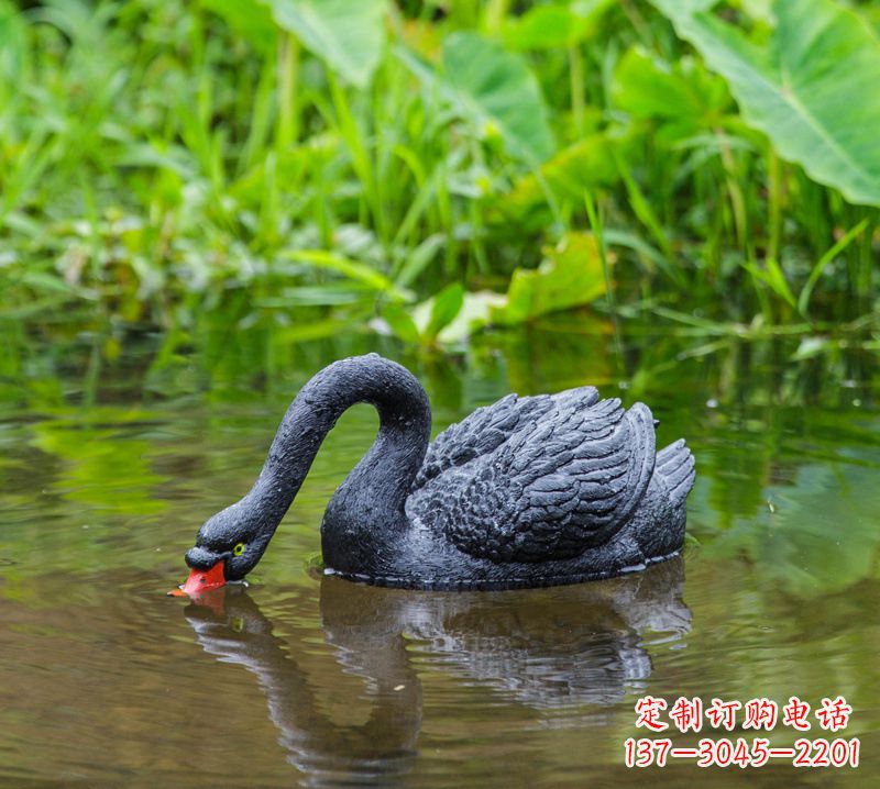 广西黑天鹅雕塑,水塘装饰摆件