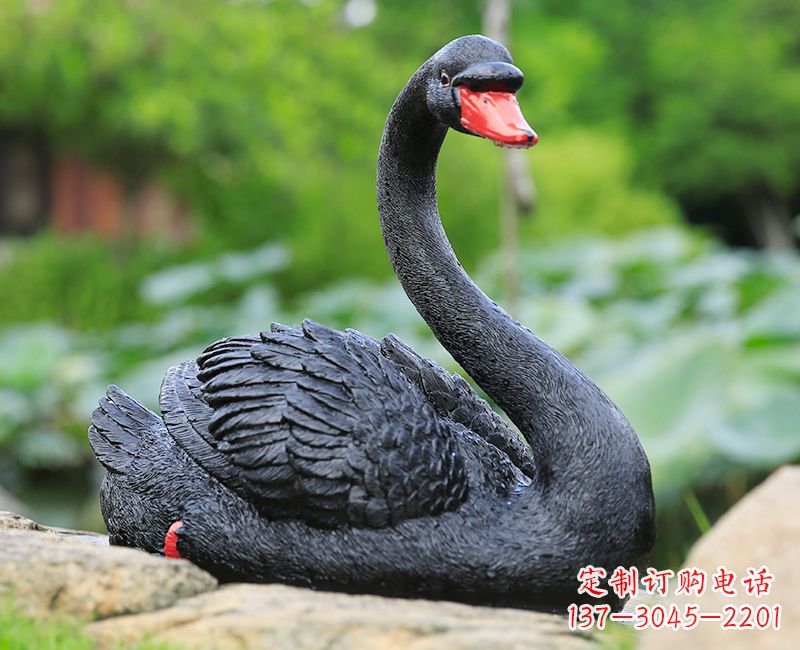 广西精致高端的黑色天鹅雕塑