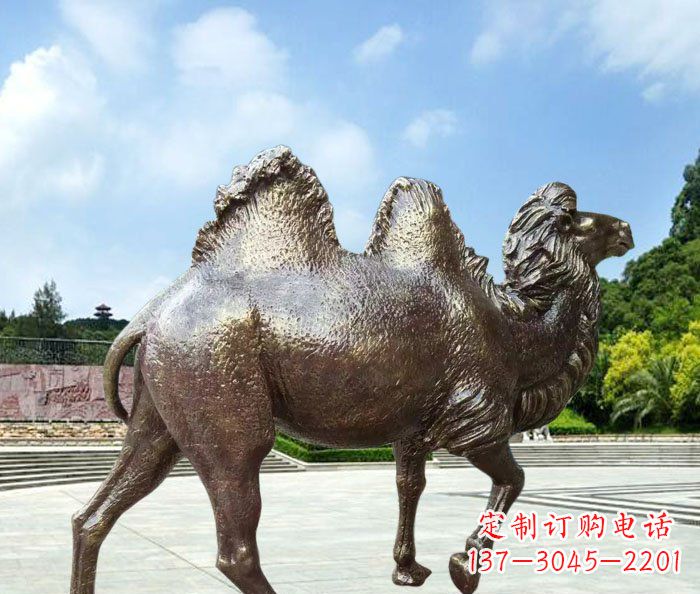 广西欣赏骆驼美感,购买骆驼铜雕