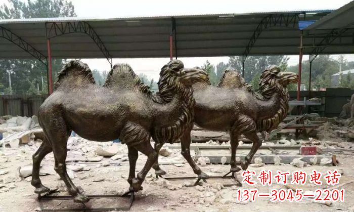 广西典雅优美的骆驼铜雕