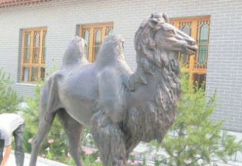 广西精美的骆驼铜雕，提升您的公园气质