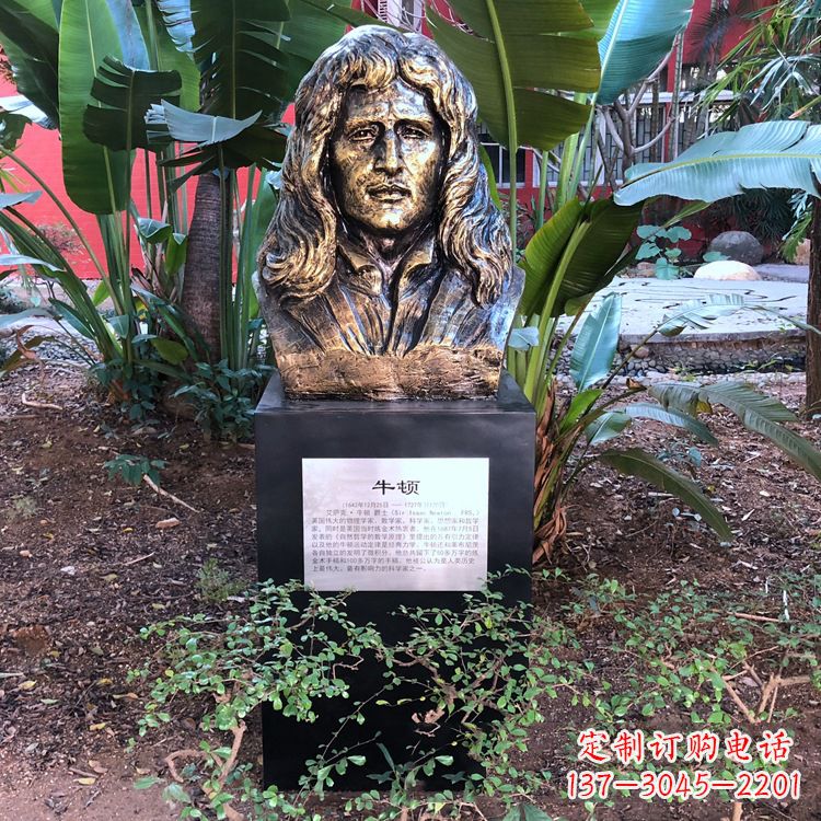 广西牛顿纯铜头像雕塑