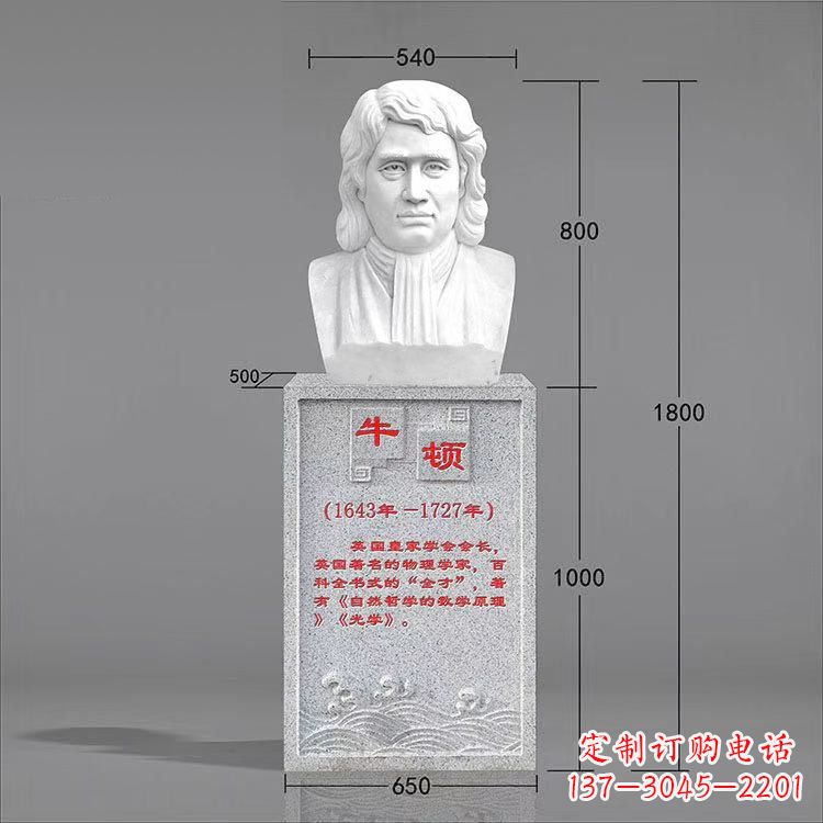 广西艺术精灵:牛顿汉白玉石头像雕塑
