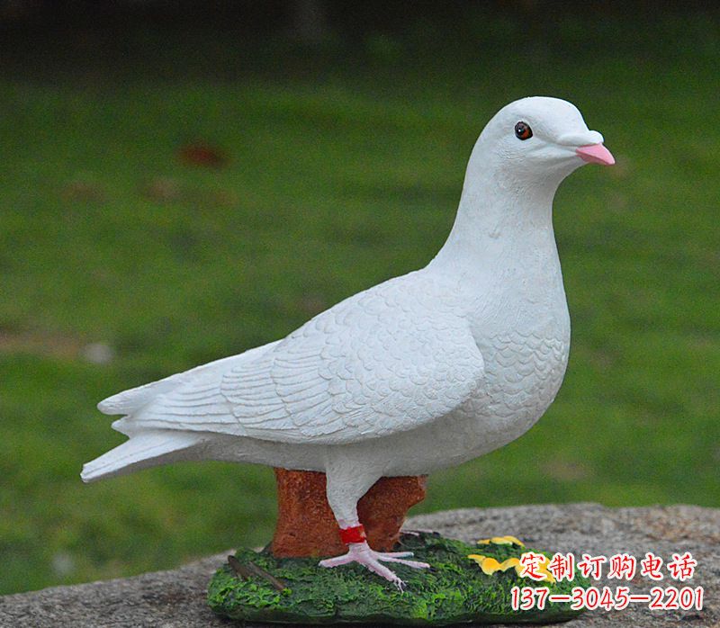 广西美丽的和平鸽雕塑,传递暖暖的正能量