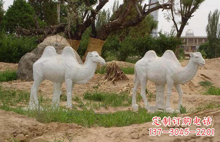 广西欣赏大自然,石雕骆驼公园动物雕塑邀请您