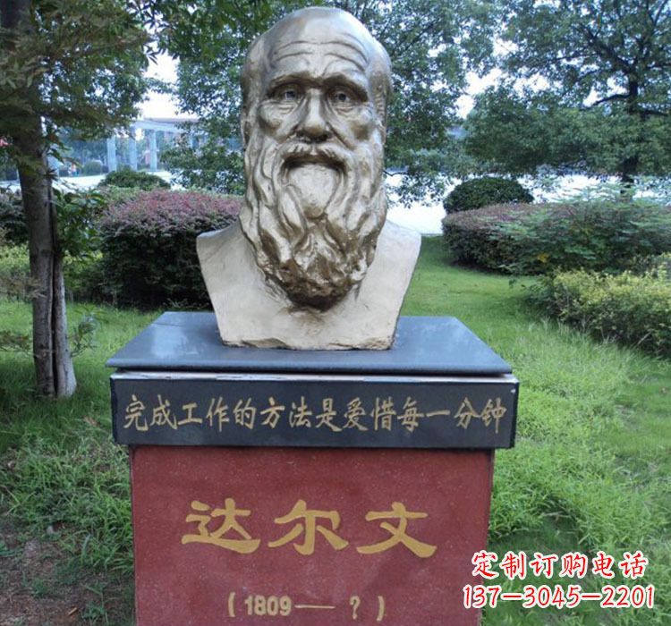 广西铜雕达尔文头像雕塑