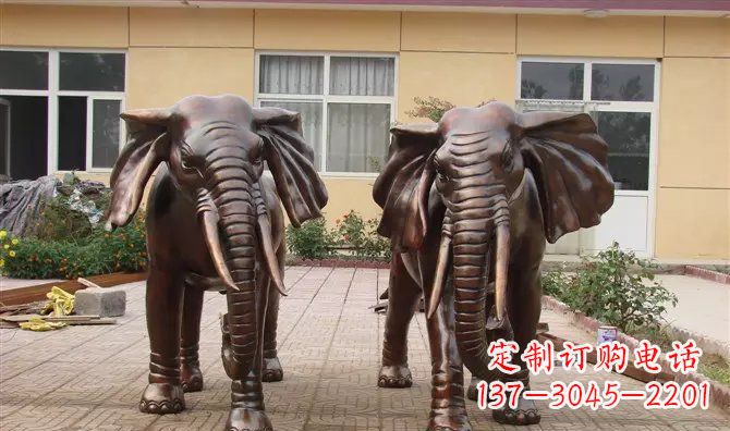 广西铜雕大象公司门口动物雕塑