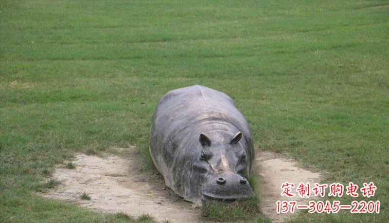 广西铜雕趴着的河马