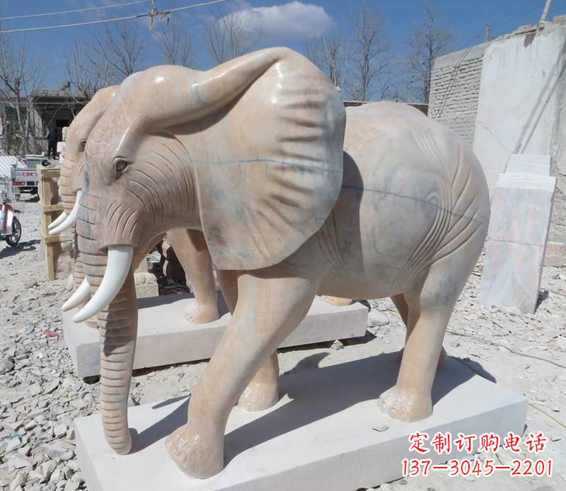 广西晚霞红卷鼻大象