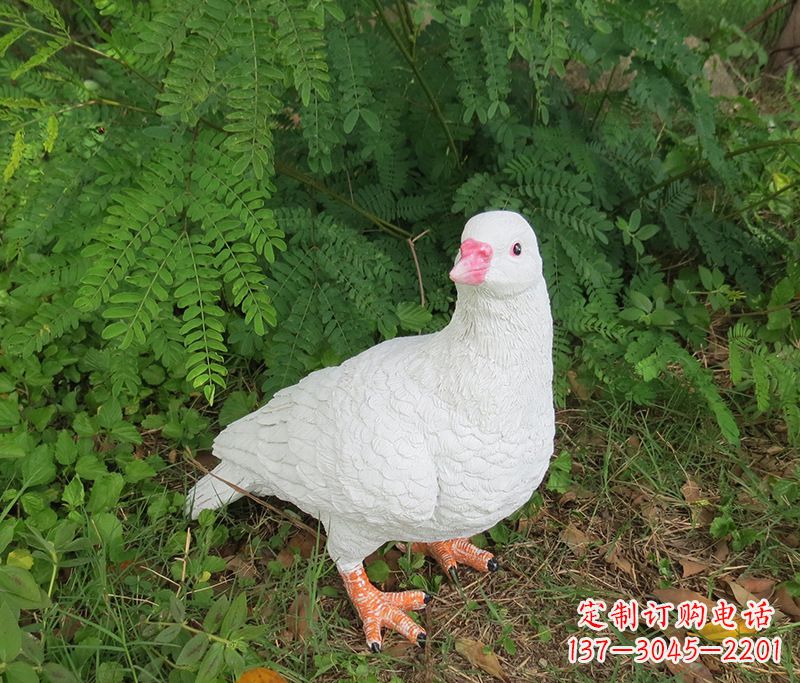 广西潍坊青年路和平鸽灰姑娘雕塑