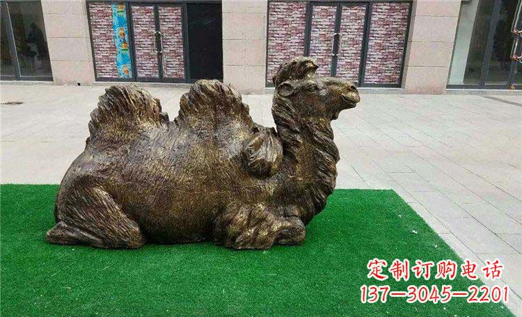 广西卧着的骆驼动物铜雕