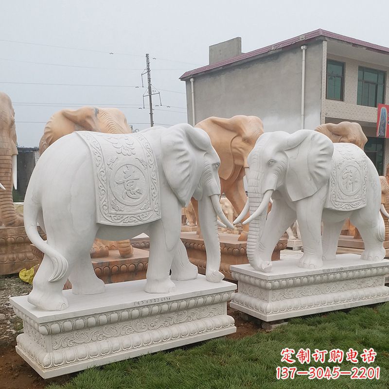 广西学校石雕大象