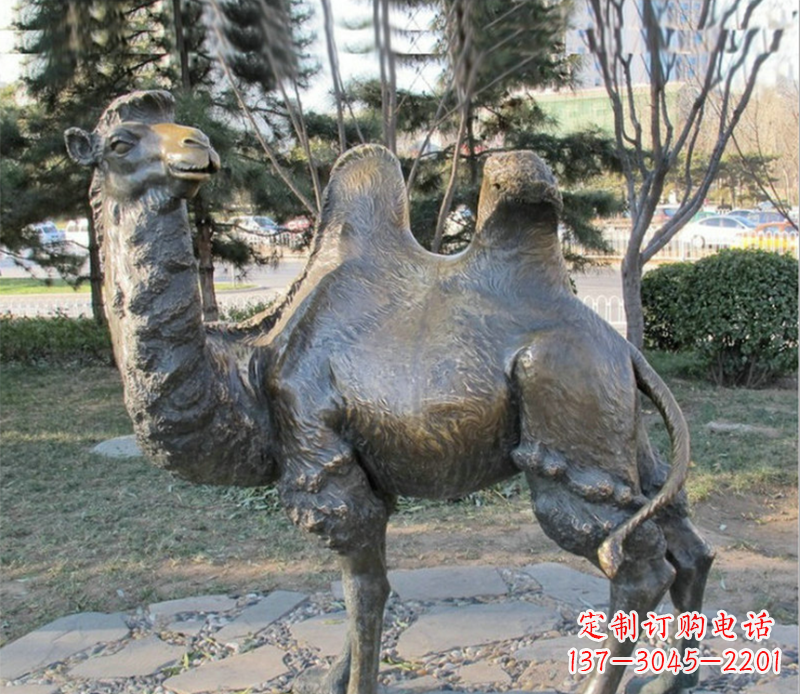 广西骆驼铜雕塑